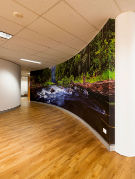 PSC Gordon Nelson Office Fit Out - Cooper Commercial 2