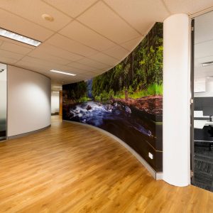 PSC Gordon Nelson Office Fit Out - Cooper Commercial 2