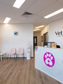Vet Love - Medical Fit Out - Cooper Commercial 7